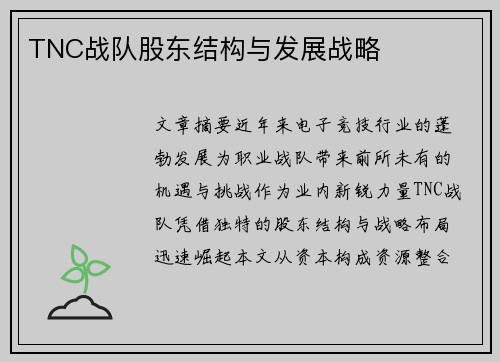 TNC战队股东结构与发展战略